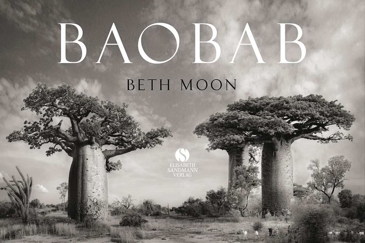 Beth Moon - BAOBAB: Meine Reise zu den ältesten Lebewesen und Waldwächtern - Elisabeth Sandmann
